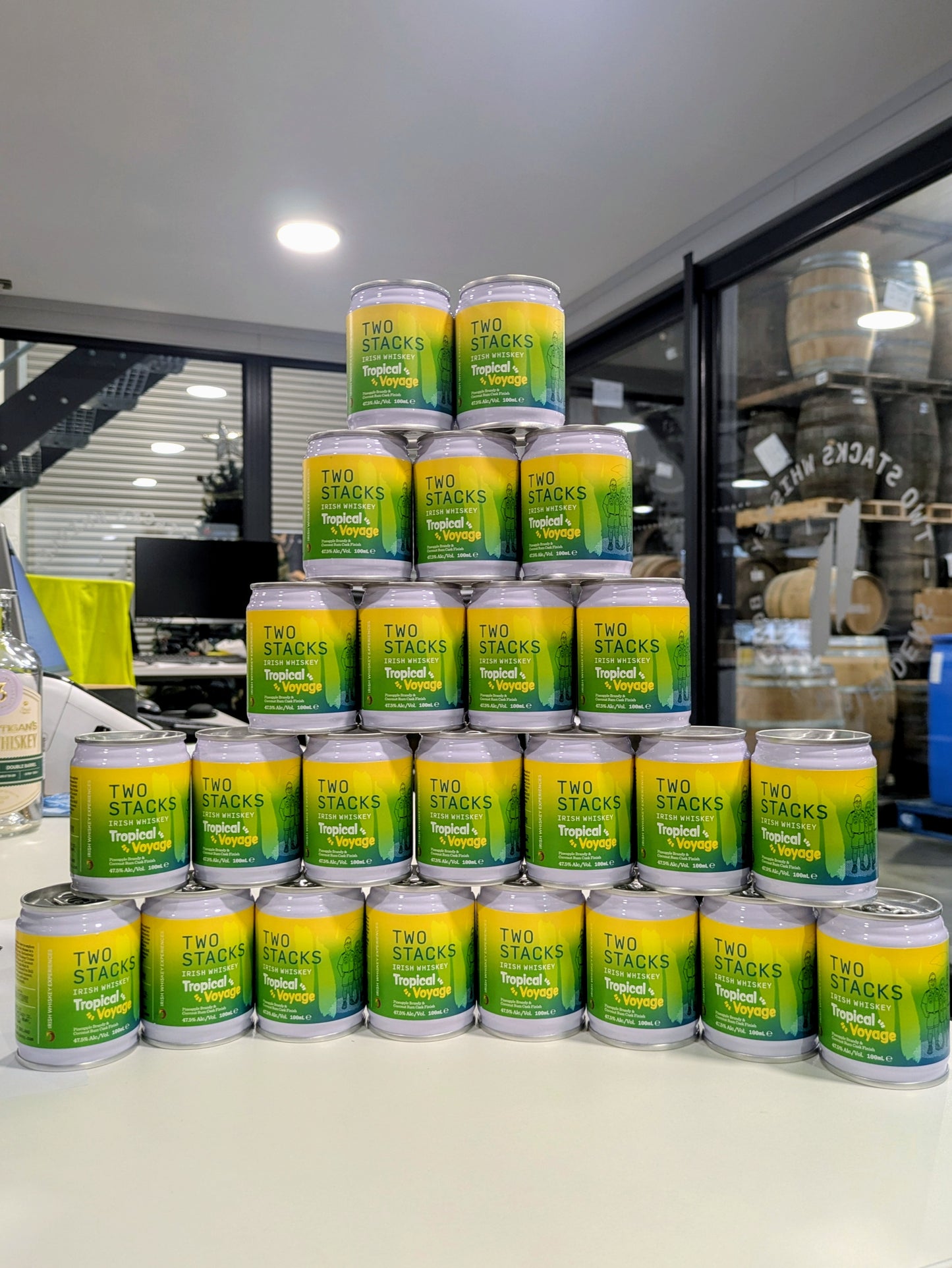 Irish Whiskey Cruise Can Bundle 47.5% 24x100ml