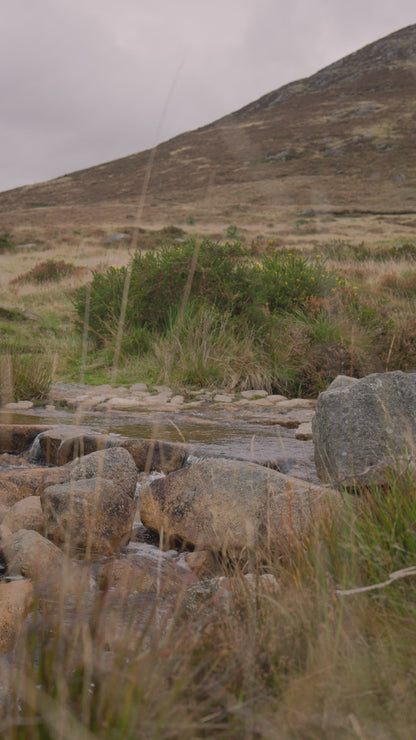 NEW: Two Stacks Spirit of Adventure Bundle - Whiskey Edition